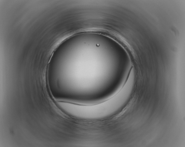 X0000113901417200910081819