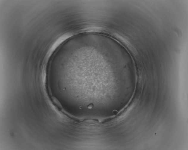 X0000113901418200910081819