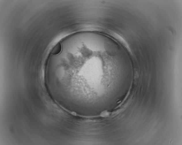 X0000113901419200910081819