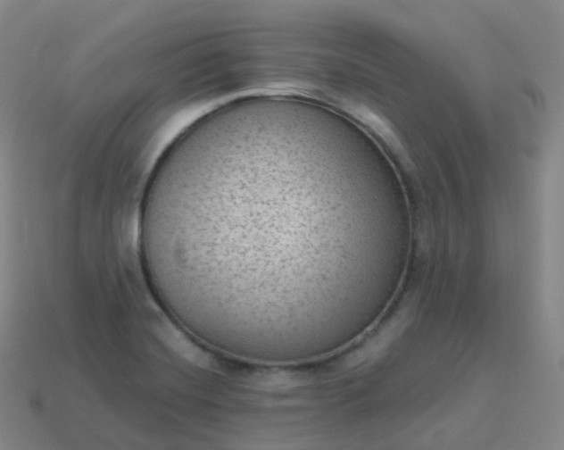 X0000113901420200910081819