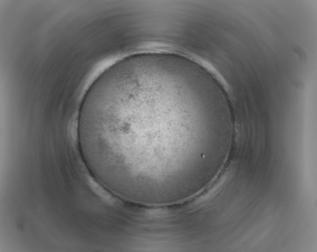 X0000113901421200910081819