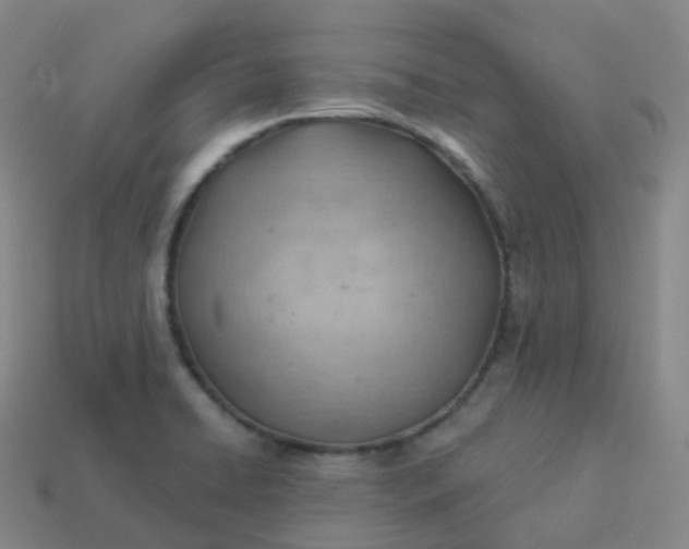 X0000113901422200910081819