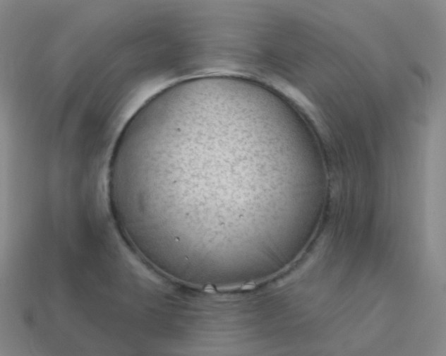 X0000113901423200910081819