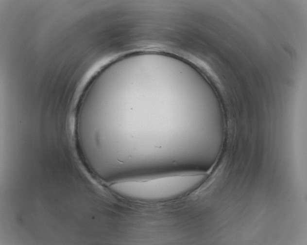 X0000113901424200910081819