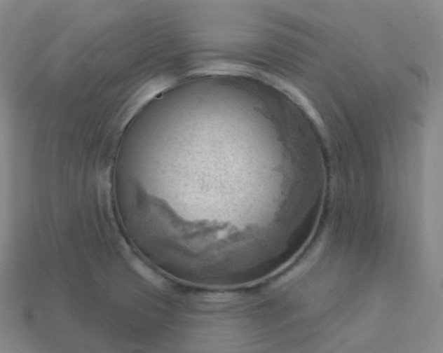 X0000113901425200910081819