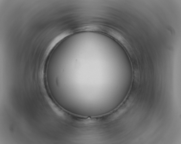 X0000113901426200910081819