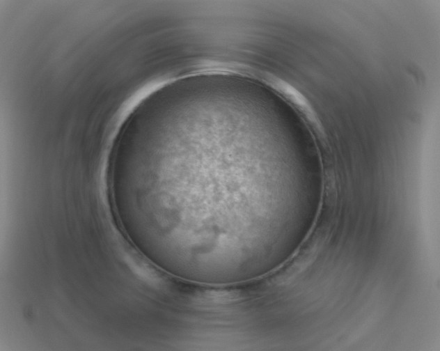 X0000113901427200910081820