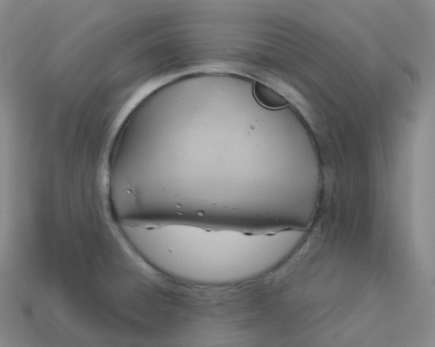 X0000113901428200910081820