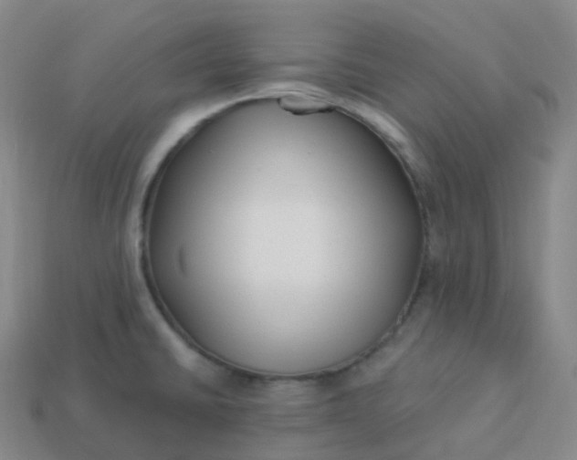 X0000113901430200910081820