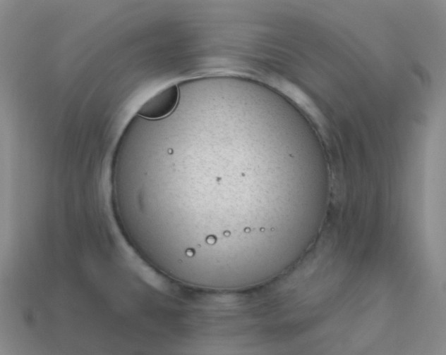 X0000113901431200910081820