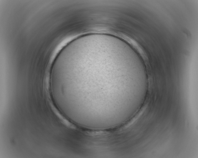 X0000113901432200910081820