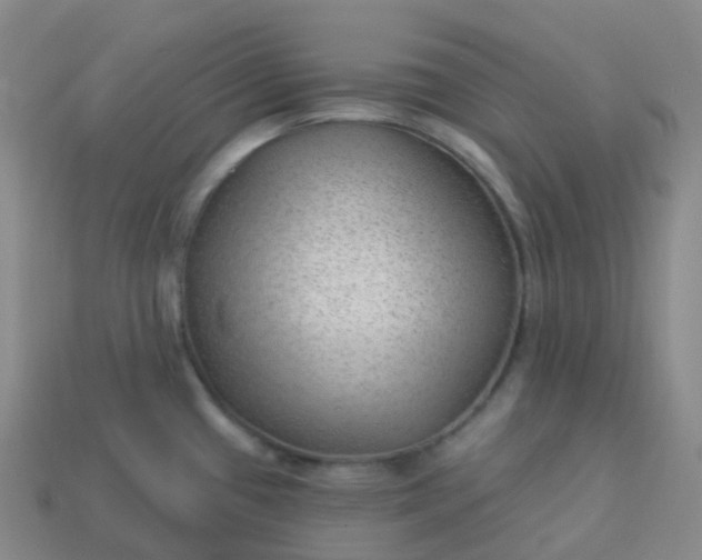 X0000113901433200910081820