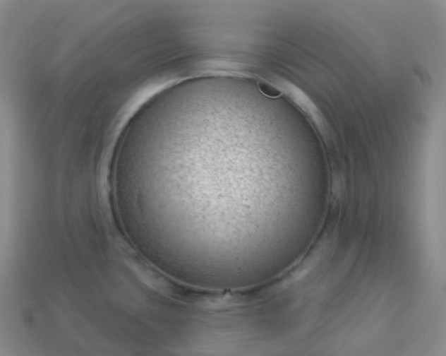 X0000113901435200910081820