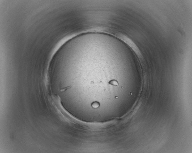 X0000113901436200910081820