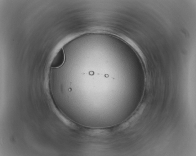 X0000113901437200910081820