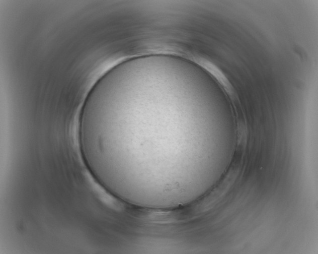 X0000113901439200910081820