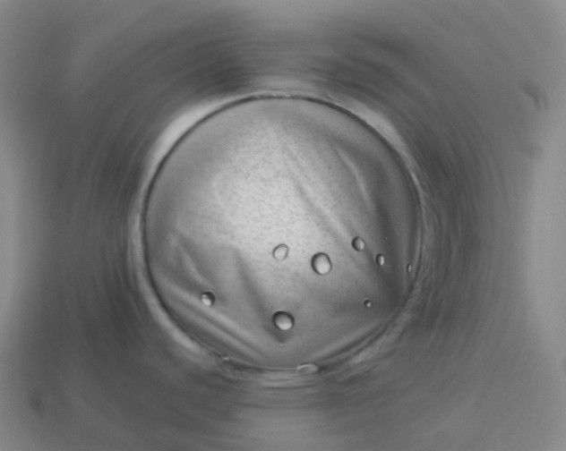 X0000113901440200910081820