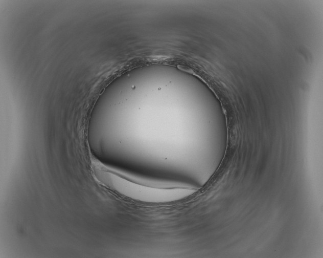 X0000113901441200910081819