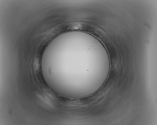 X0000113901442200910081819