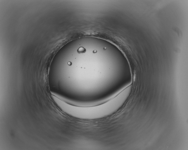 X0000113901444200910081819