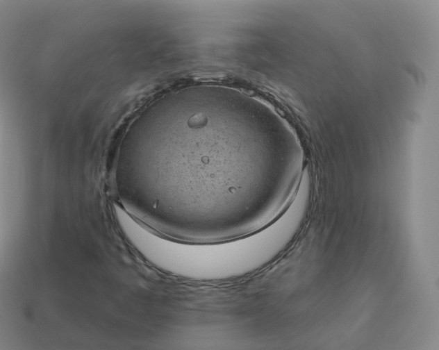 X0000113901445200910081819