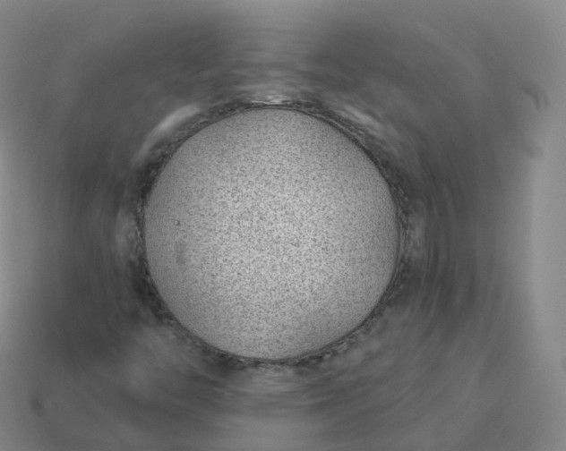 X0000113901446200910081819