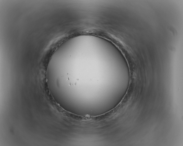 X0000113901447200910081819