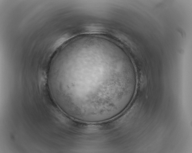 X0000113901449200910081819