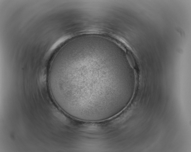 X0000113901450200910081819