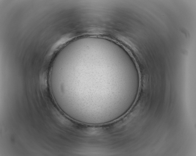 X0000113901451200910081819