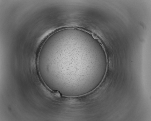 X0000113901452200910081819