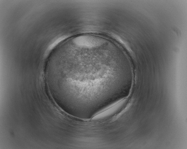 X0000113901453200910081819