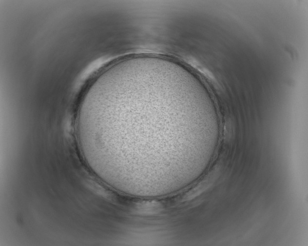 X0000113901454200910081819