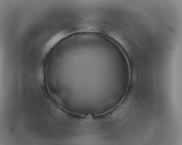 X0000113901455200910081819