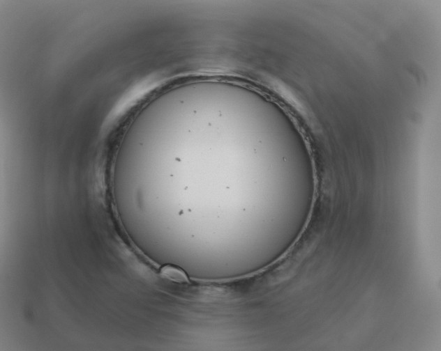 X0000113901456200910081819