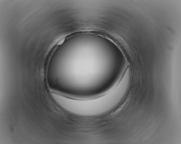 X0000113901457200910081819