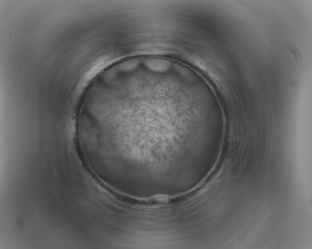 X0000113901459200910081819