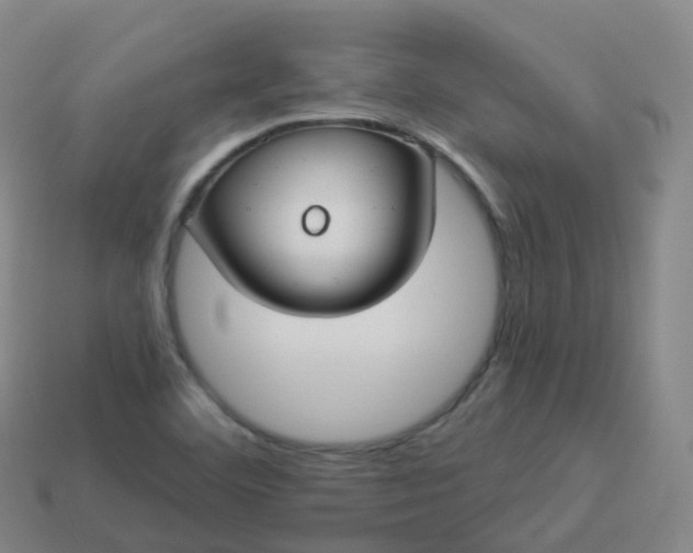 X0000113901460200910081819