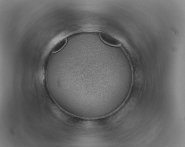 X0000113901461200910081819