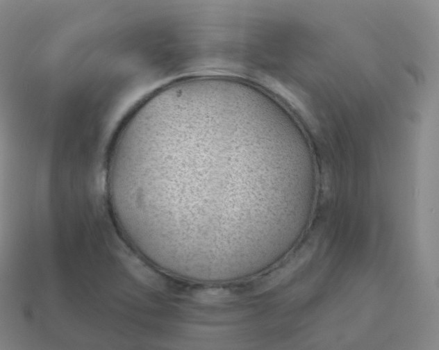 X0000113901462200910081819