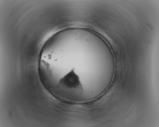 X0000113901463200910081819