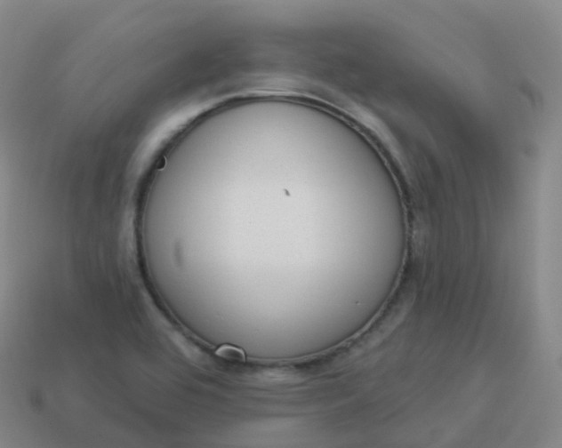 X0000113901464200910081819