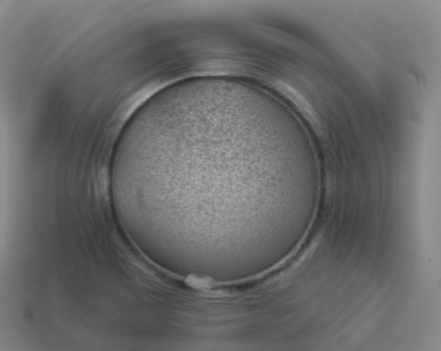 X0000113901465200910081819