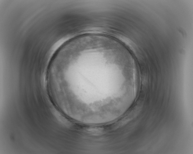 X0000113901466200910081819