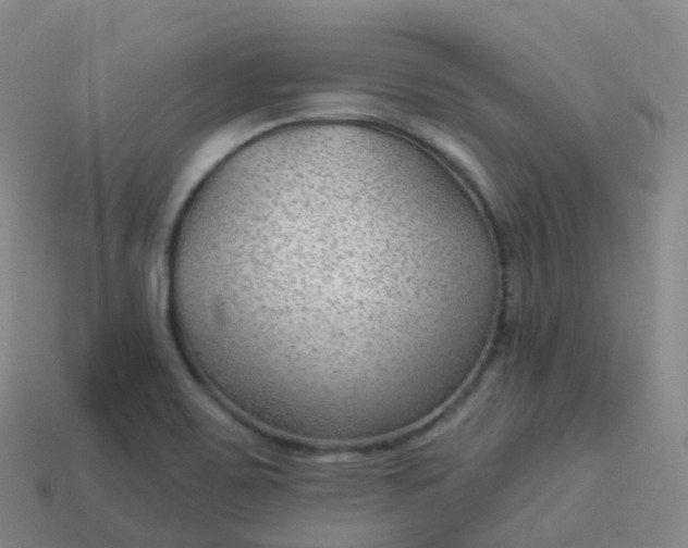 X0000113901467200910081819