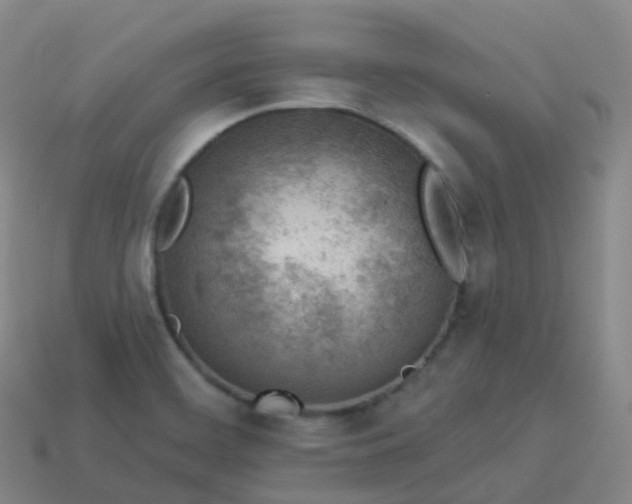 X0000113901468200910081819