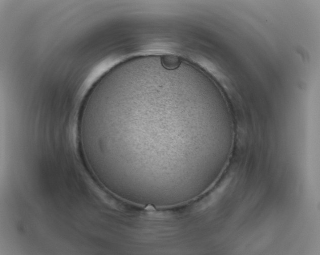 X0000113901469200910081819