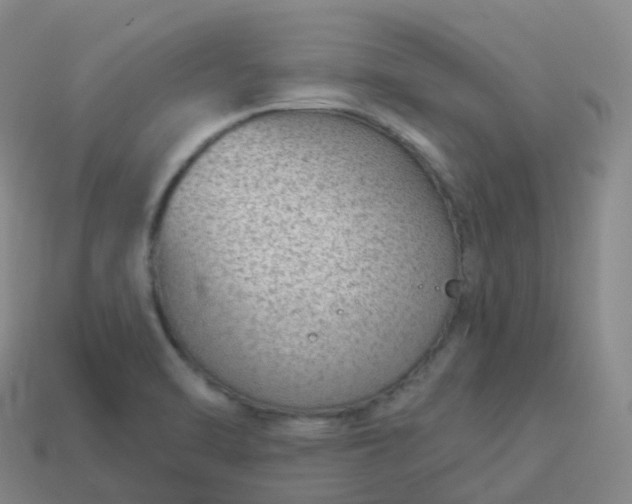 X0000113901470200910081819