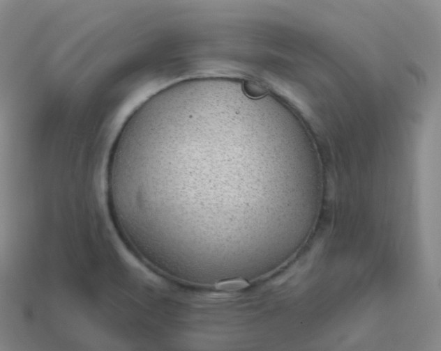 X0000113901471200910081819