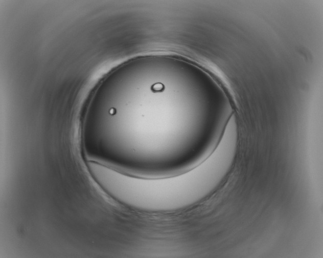 X0000113901472200910081819